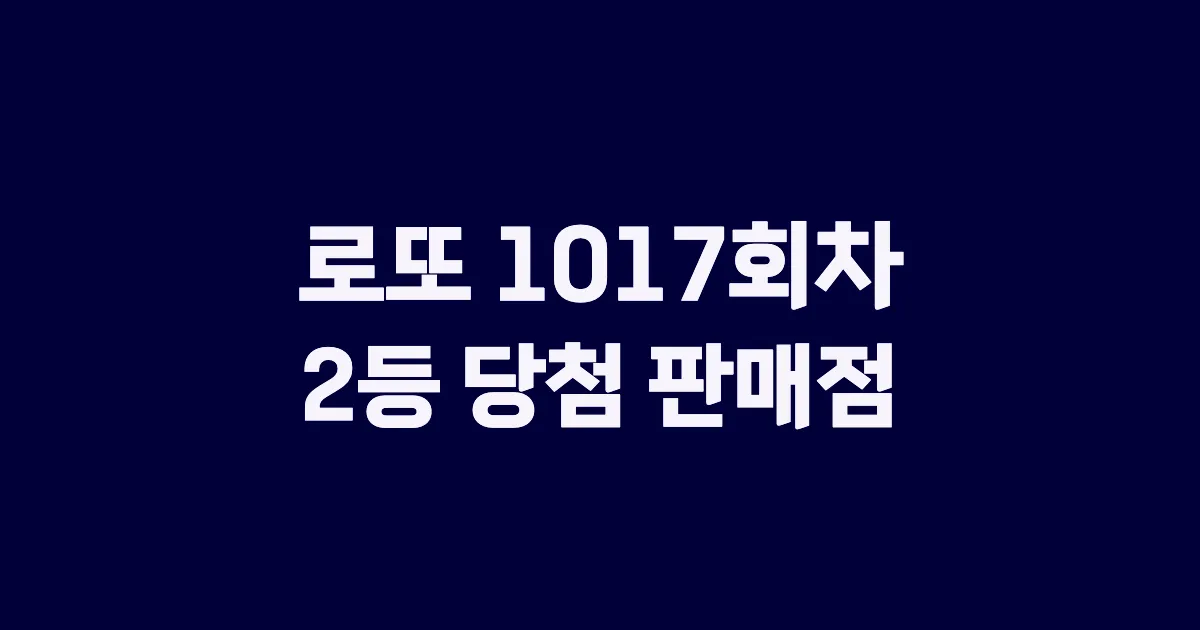 로또 1017회 2등 당첨 판매점과 지역 안내